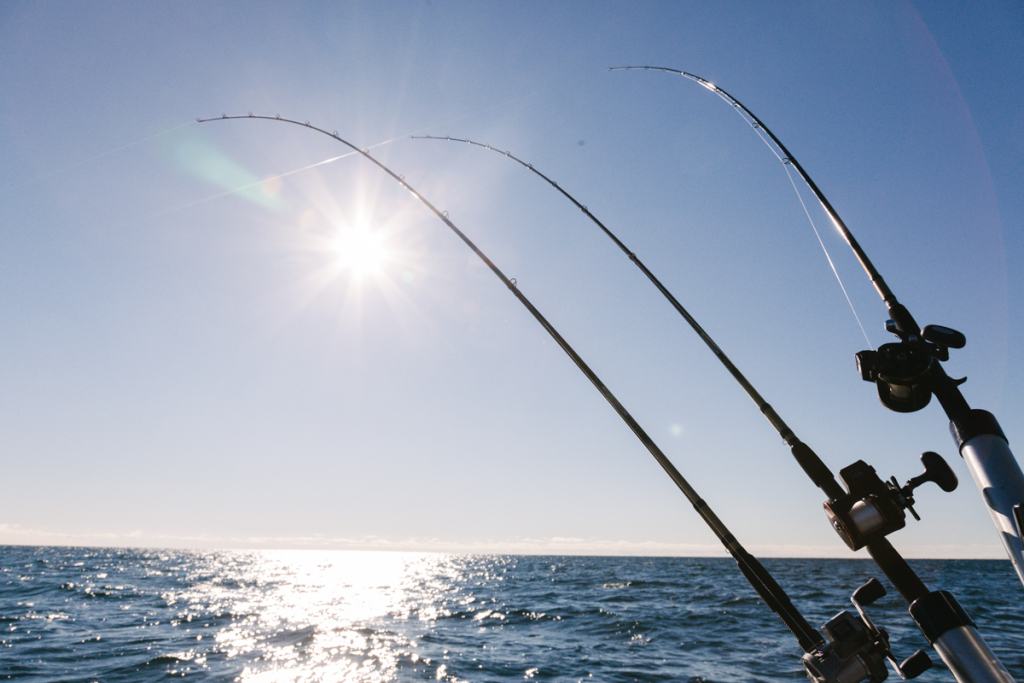 Walleye/Bass Fishing - Lake Ontario