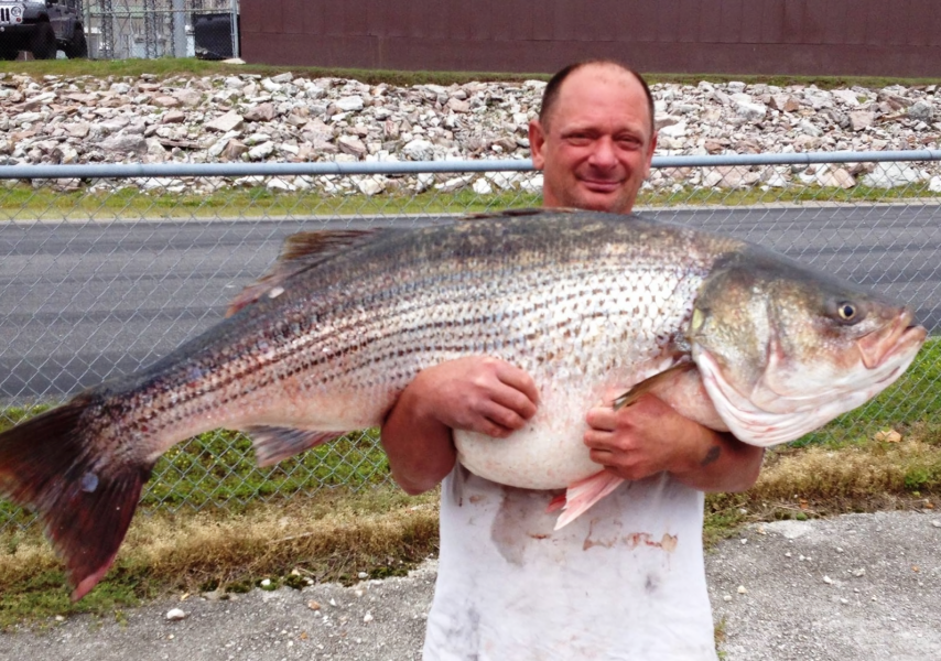 34-year old Maryland fishing record broken after catch tips scales at 17  pounds