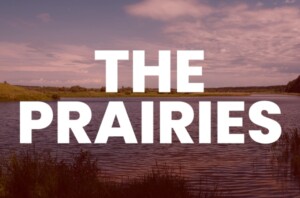 The Prairies