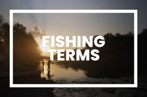 Fishing Terms