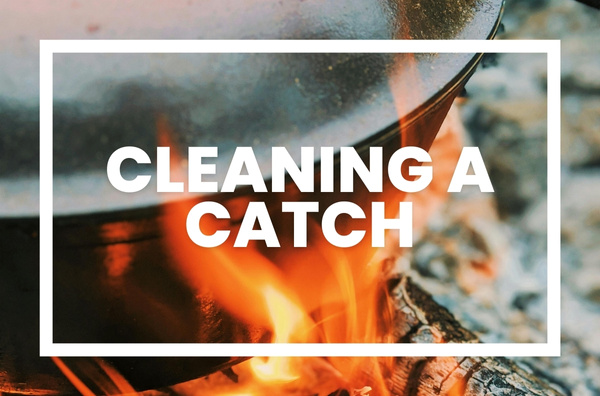 Cleaning a Catch