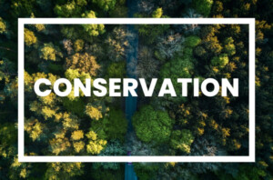 Conservation