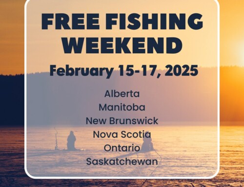 Free Fishing for Family Day